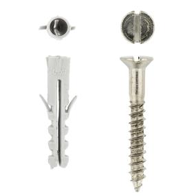 Wall Plug & Screw